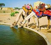 The secrets of the desert: Exploring Uzbekistan's ancient landscapes and living traditions -video