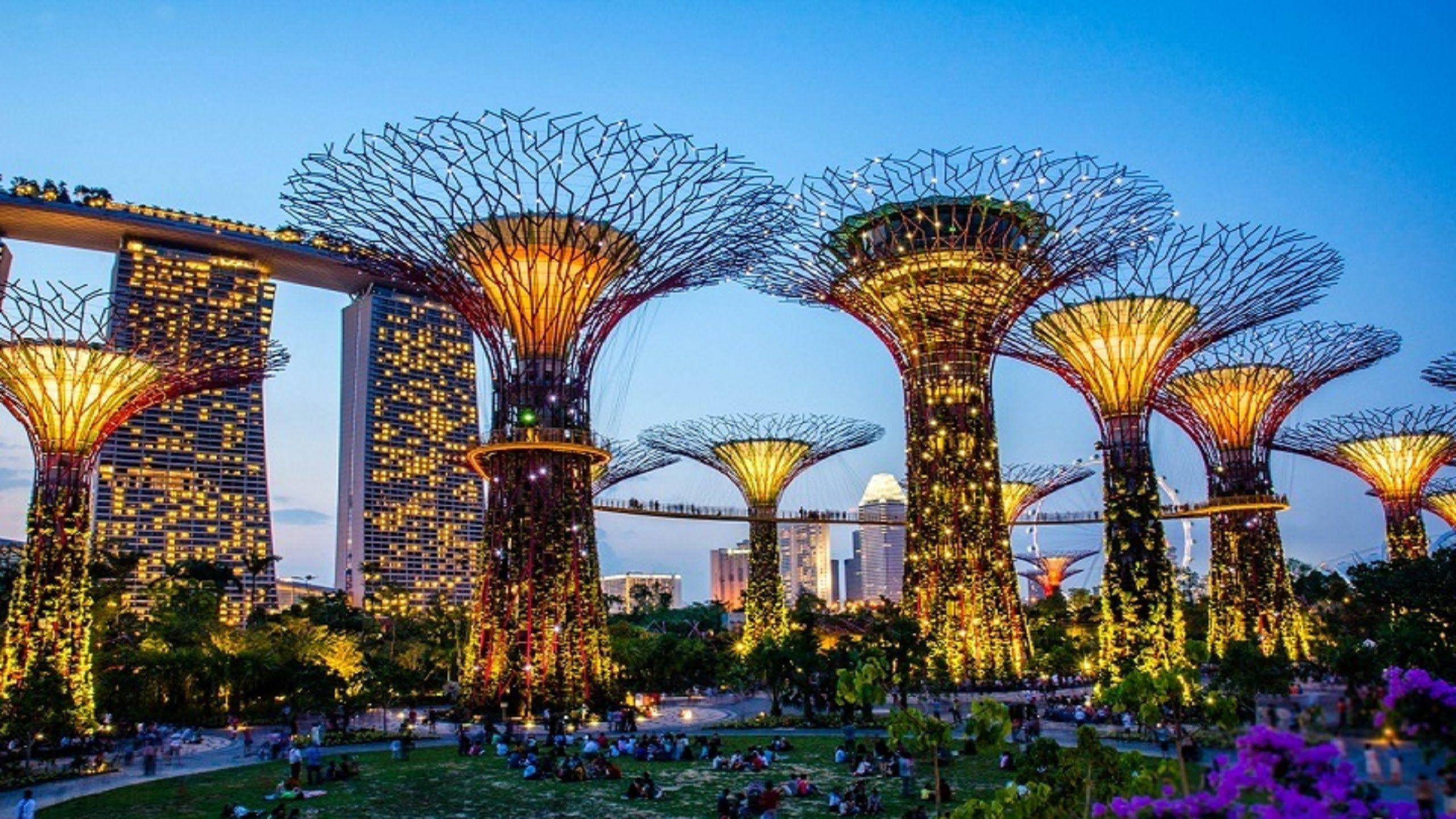 When all the capital lands in Singapore and goes nowhere else